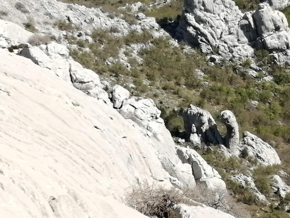 WhatsApp_Image_2021-05-09_at_19_29_06