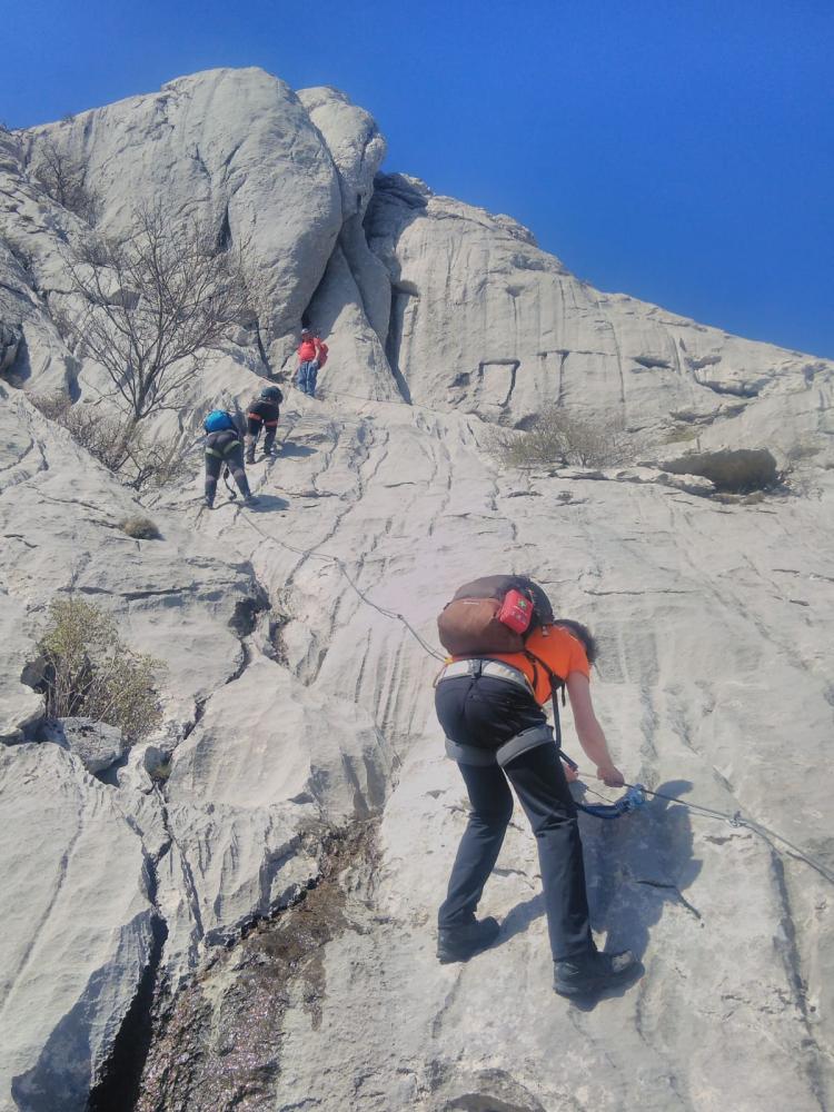 WhatsApp_Image_2021-05-09_at_19_29_17