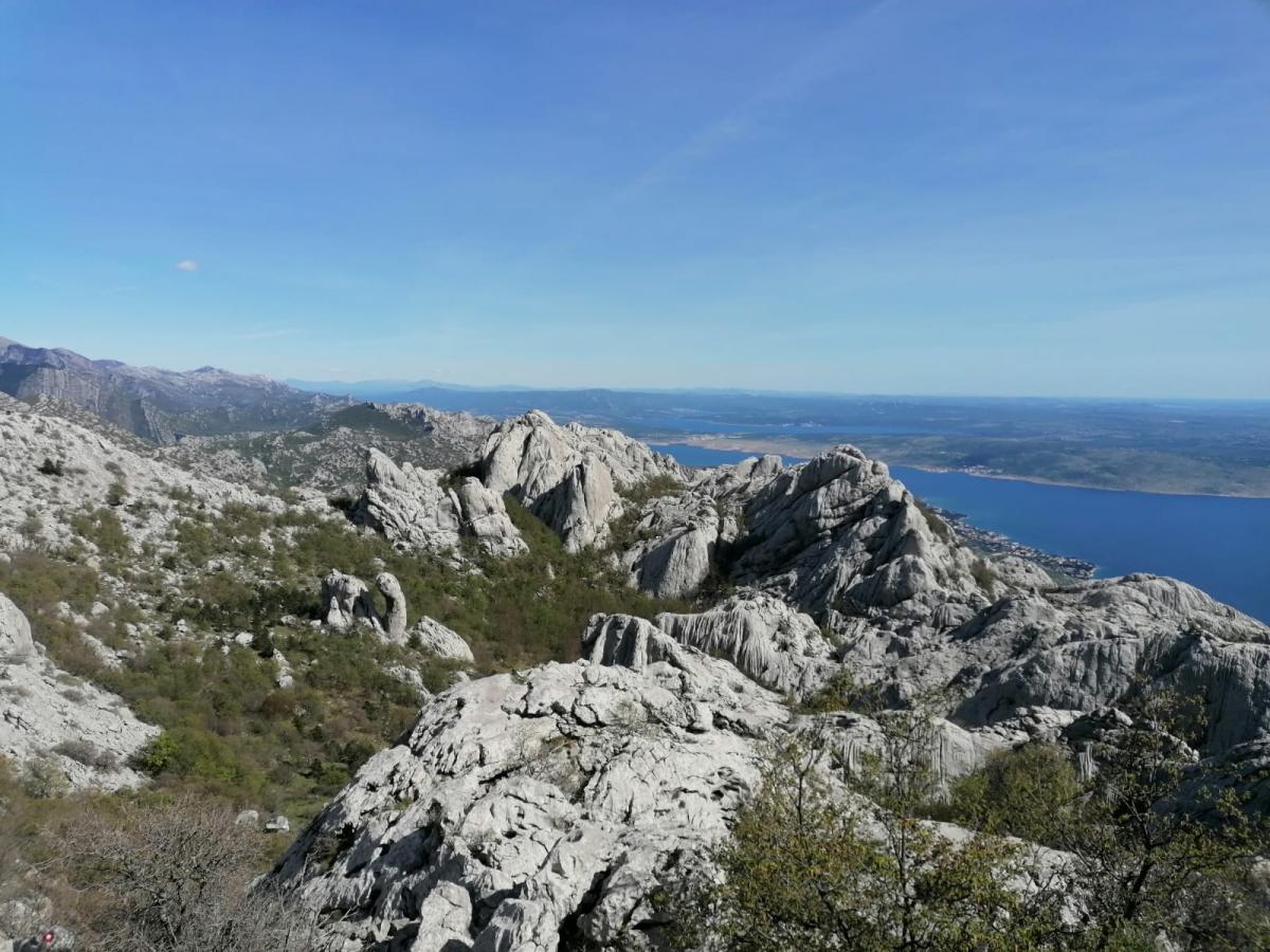 WhatsApp_Image_2021-05-09_at_19_29_18_1_