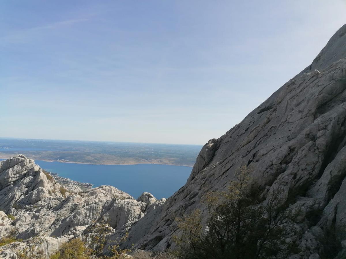 WhatsApp_Image_2021-05-09_at_19_29_19