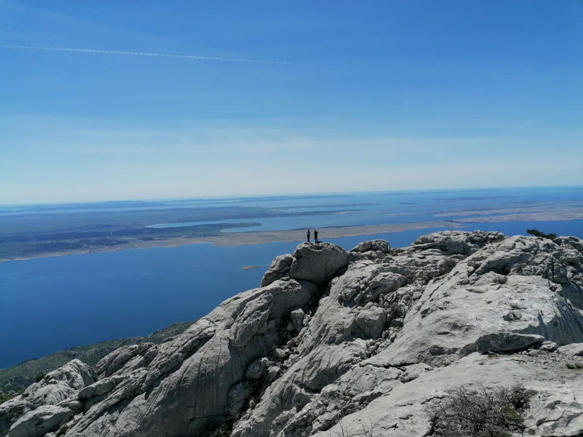 WhatsApp_Image_2021-05-09_at_19_29_52