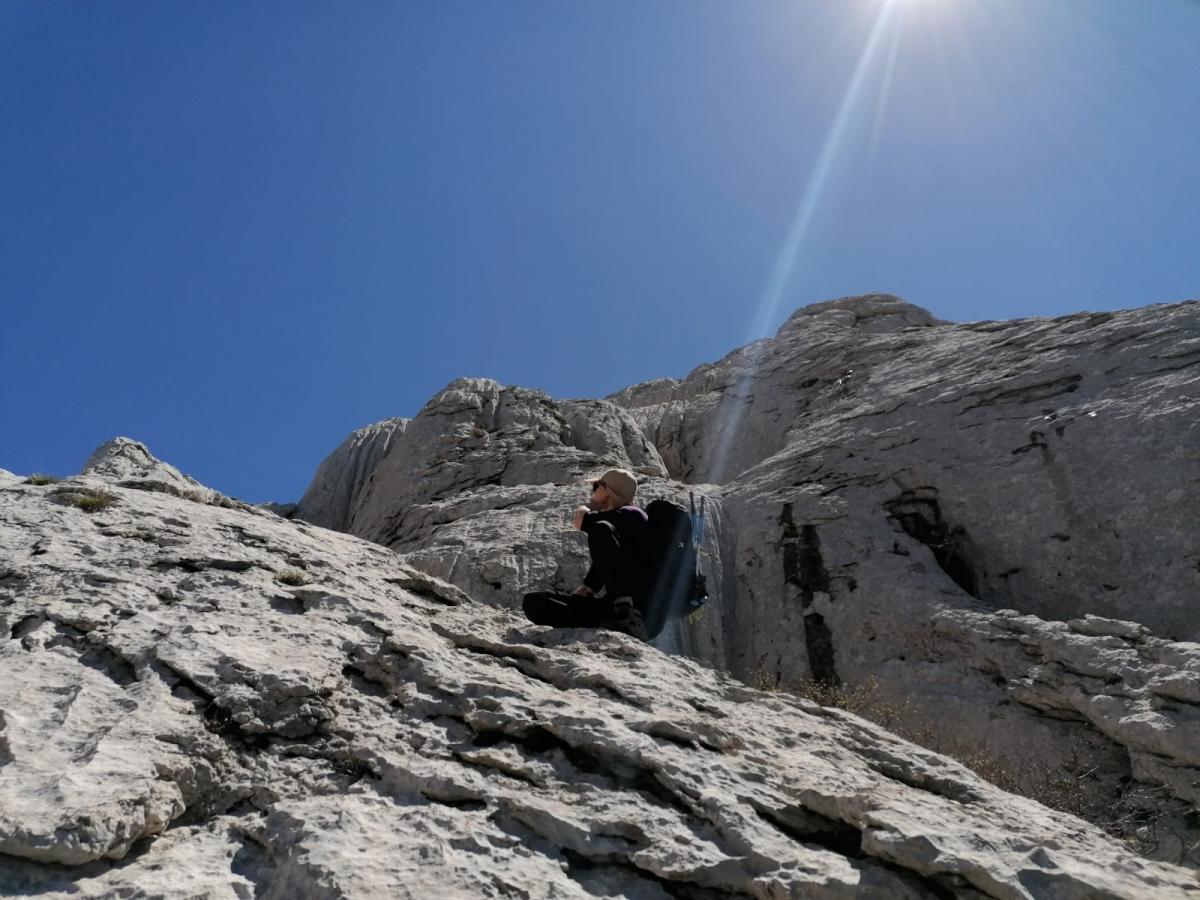 WhatsApp_Image_2021-05-09_at_19_30_02