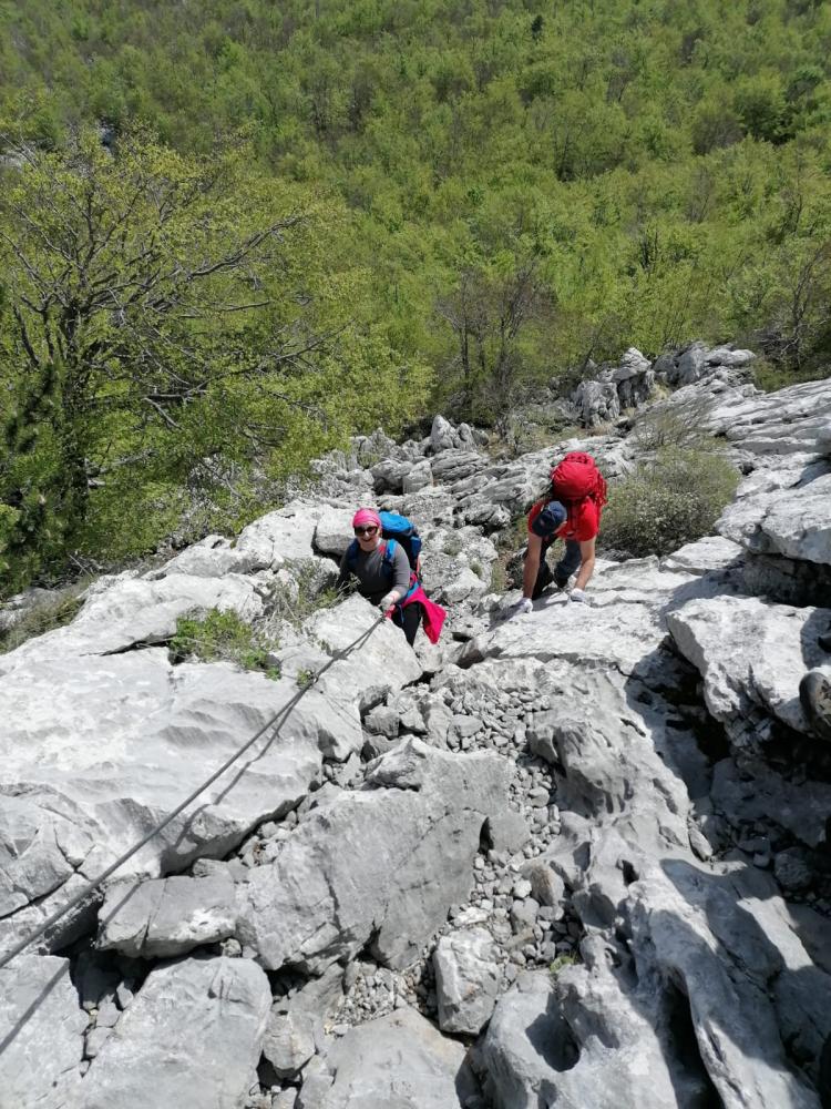 WhatsApp_Image_2021-05-09_at_19_42_02