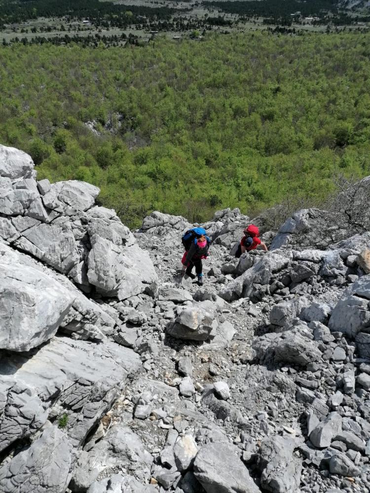 WhatsApp_Image_2021-05-09_at_19_42_02_1_