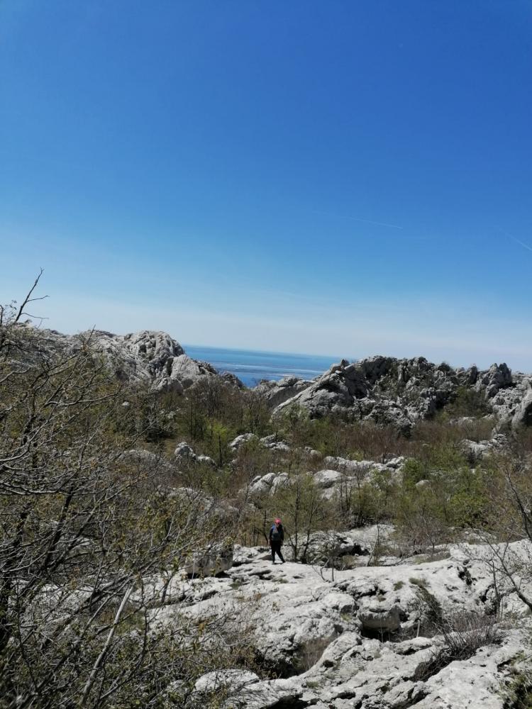 WhatsApp_Image_2021-05-09_at_19_42_02_2_