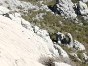 WhatsApp_Image_2021-05-09_at_19_29_06