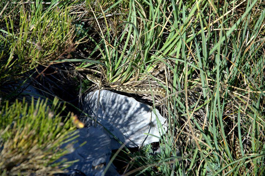 119067618_3667038213353653_2613425459904417889_o