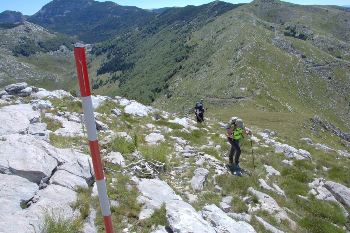 119084293_2808412459392566_6443503832524567229_o