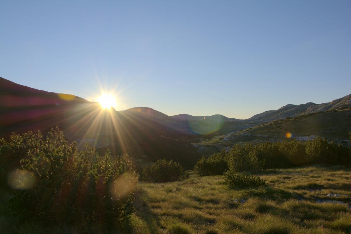 119123742_3673231656067642_1648122097914056271_o