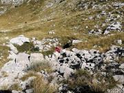 118936805_2806572726243206_5482935993094853136_n