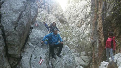 29793194_1644025115680336_8652553389814579200_n