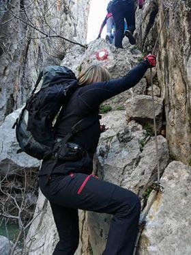 29793373_1644004285682419_8075547400002863104_n