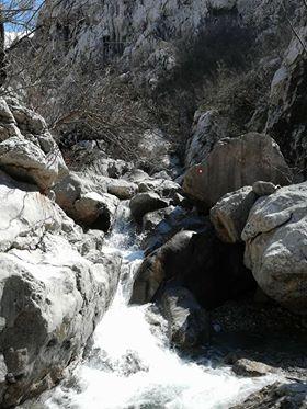 29793506_1644001432349371_1632038652802498560_n