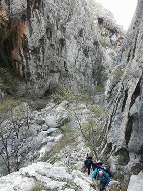 30124586_1644013615681486_6178223907410018304_n