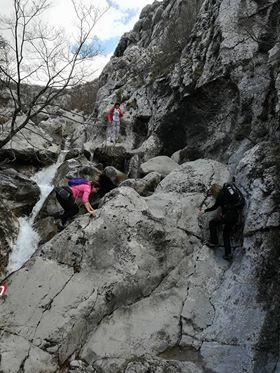 30124727_1644013892348125_1867418515779092480_n