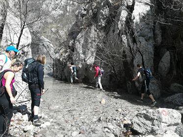 30127107_1644026659013515_8370504115846905856_n