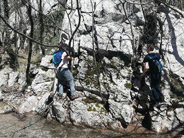 30221704_1644027282346786_7583500390201556992_n 1