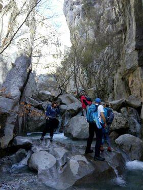 30226644_1644028619013319_6784294731187748864_n