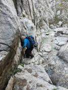 29791394_1644004439015737_8826695978451992576_n