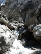 29793506_1644001432349371_1632038652802498560_n