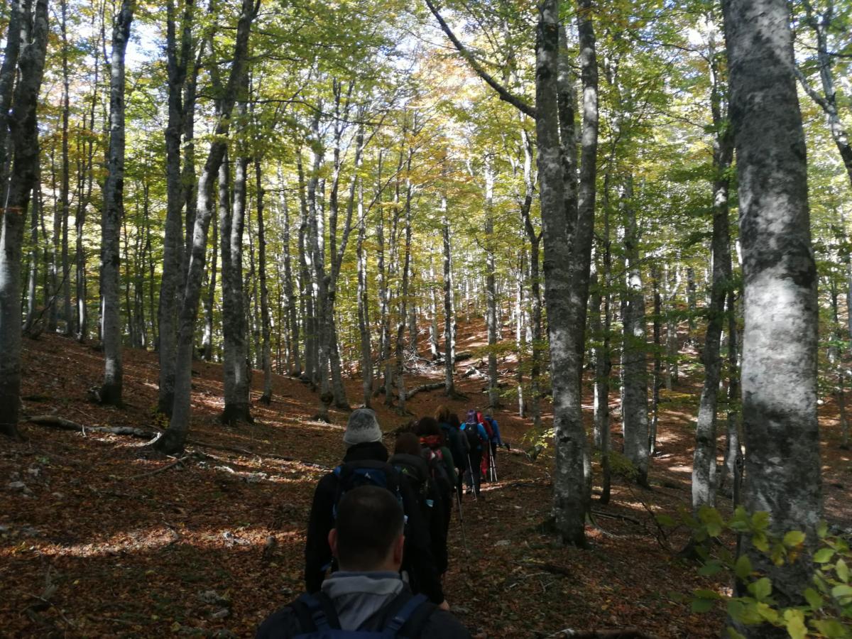 WhatsApp-Image-2021-10-17-at-181018-1