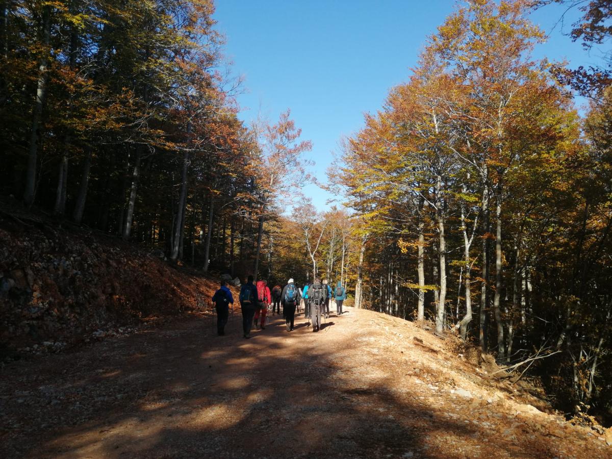 WhatsApp-Image-2021-10-17-at-181018-2