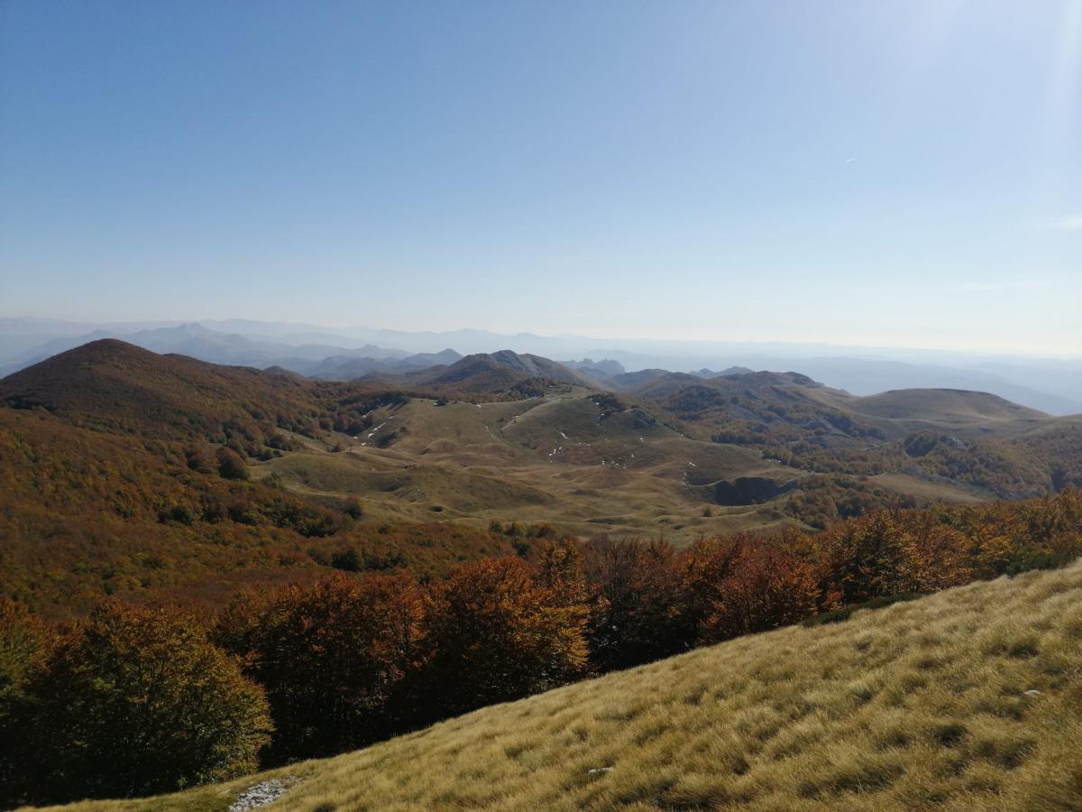 WhatsApp-Image-2021-10-17-at-181019