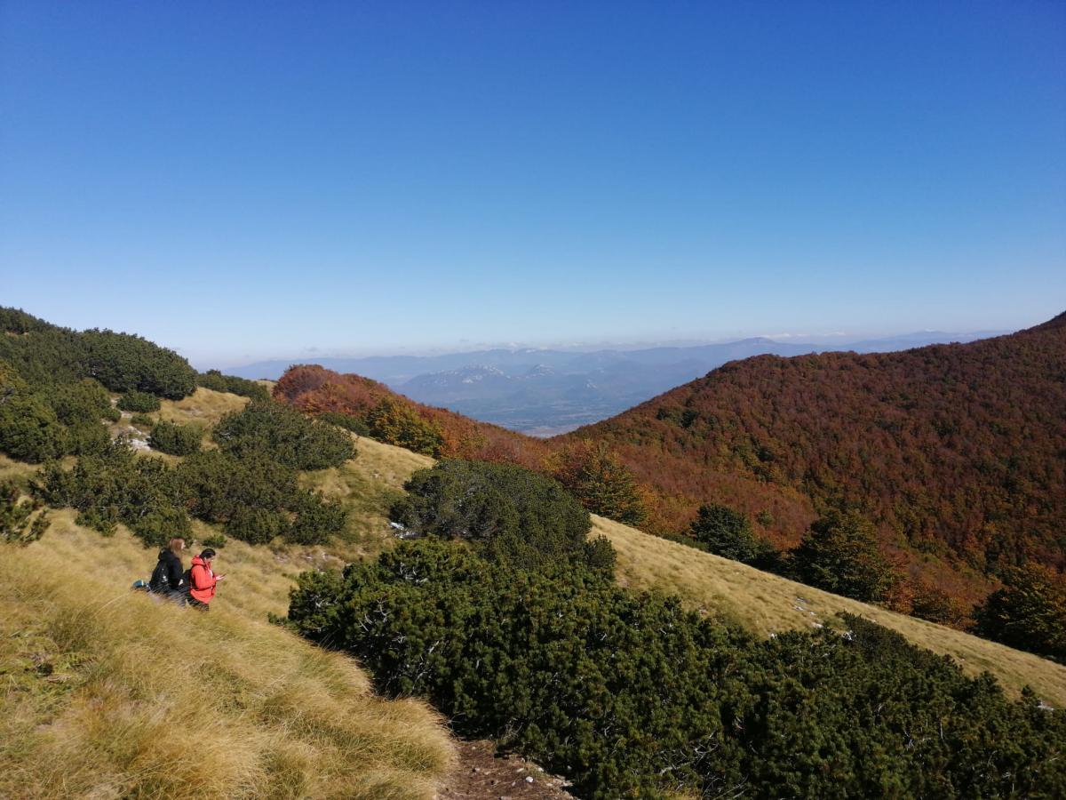 WhatsApp-Image-2021-10-17-at-181020-1