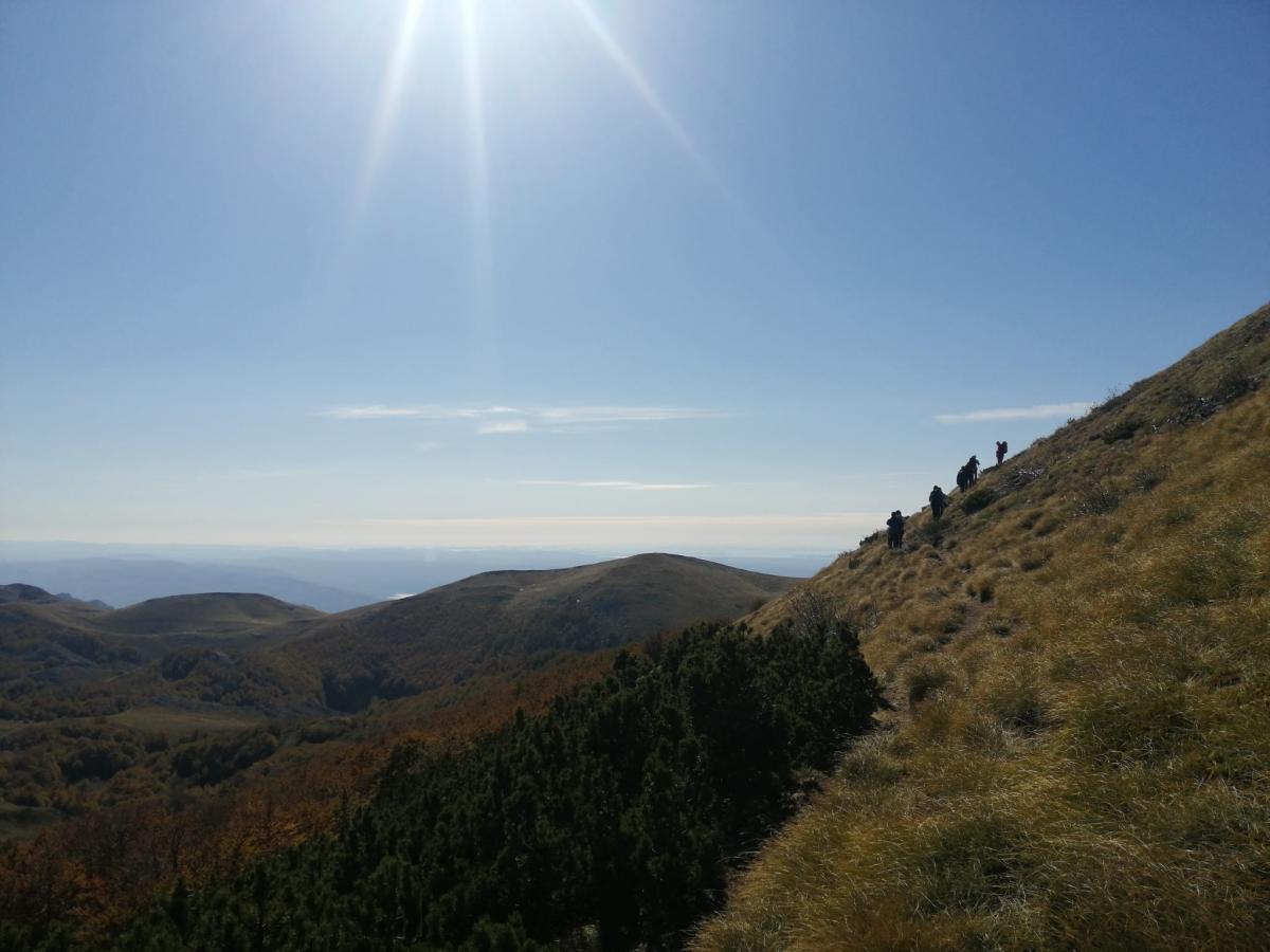 WhatsApp-Image-2021-10-17-at-181020-2