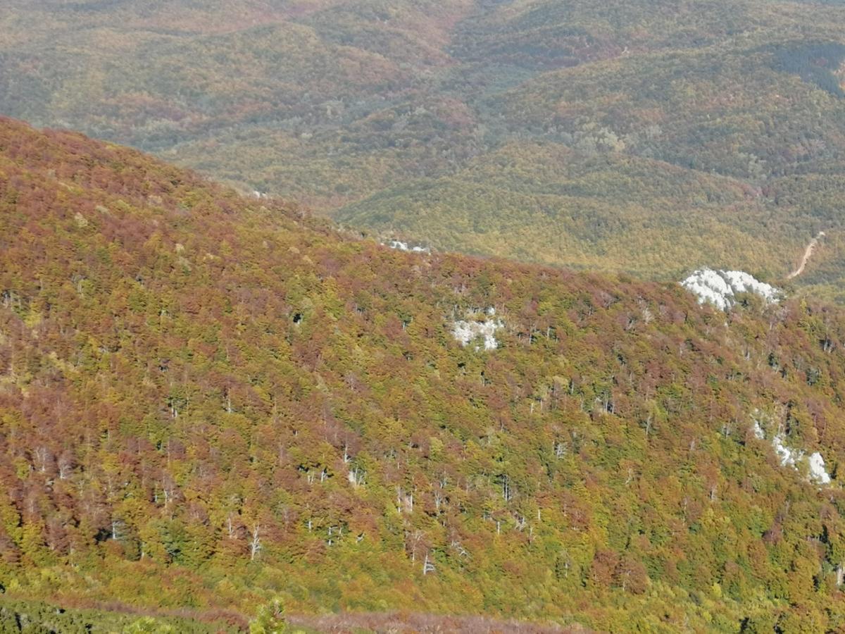 WhatsApp-Image-2021-10-17-at-181022-2