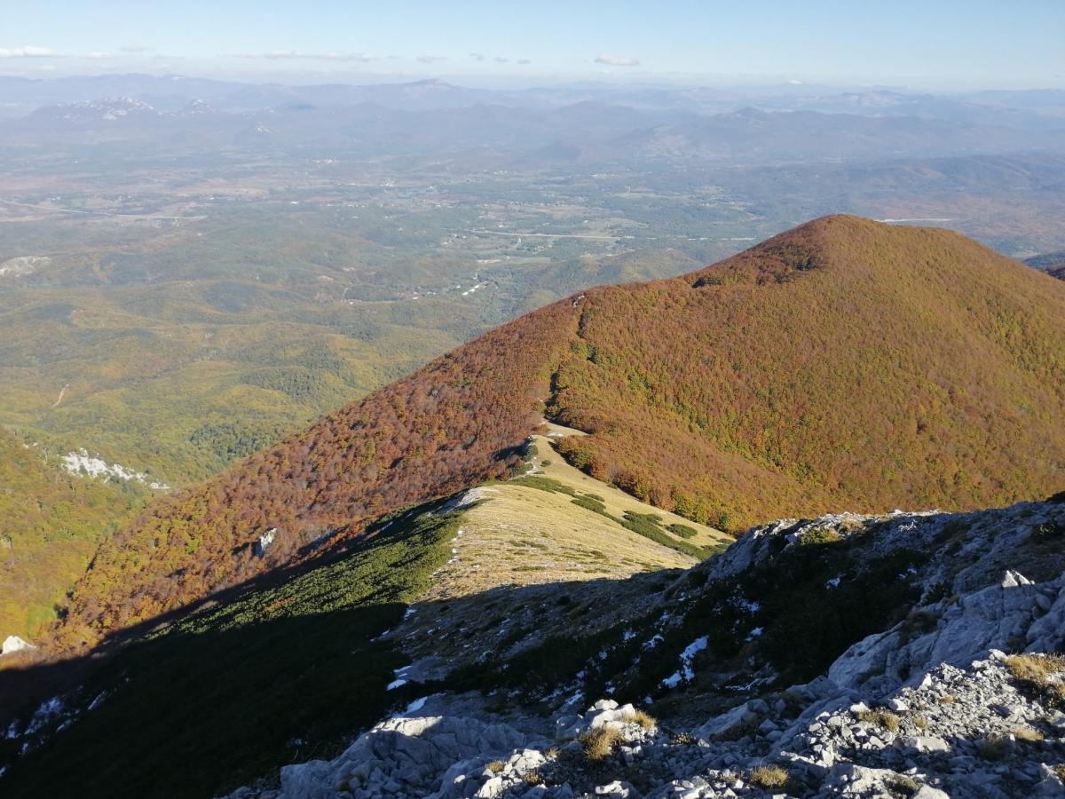 WhatsApp-Image-2021-10-17-at-181022