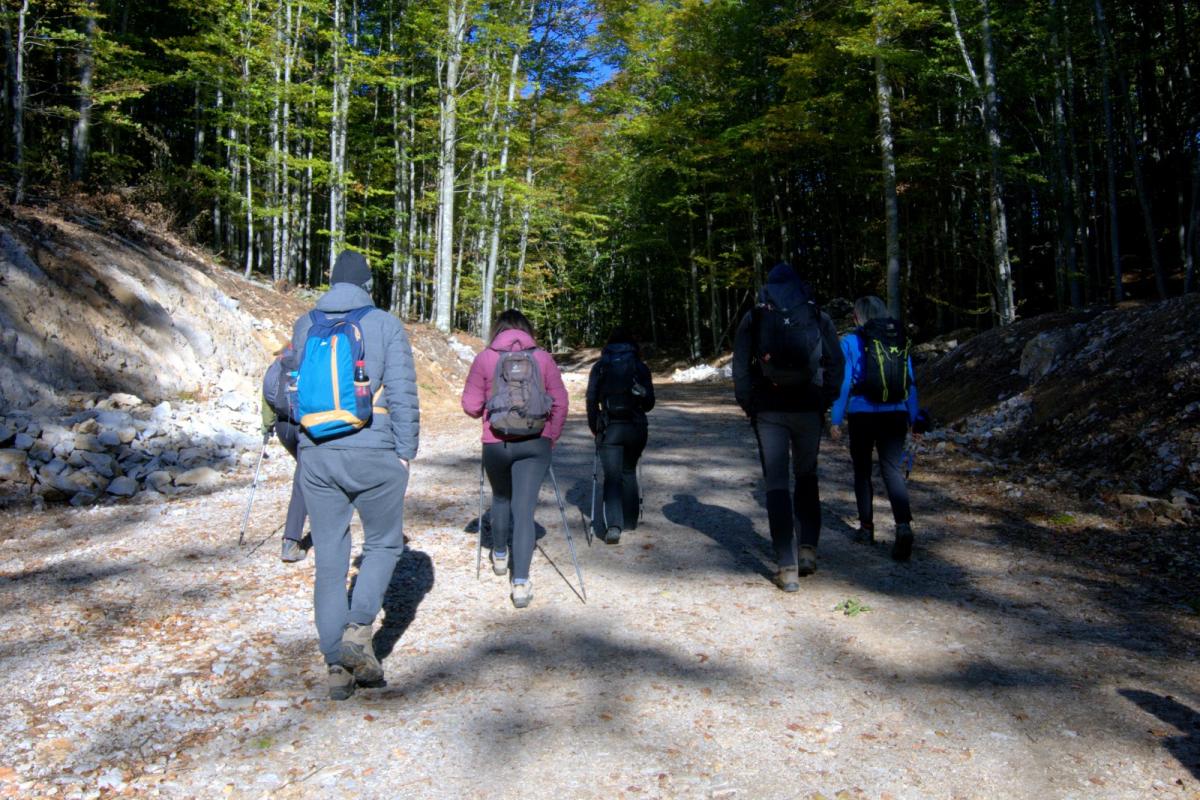 WhatsApp-Image-2021-10-18-at-194552-1