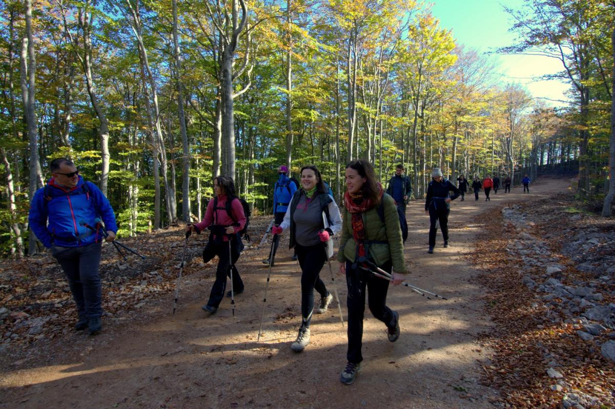 WhatsApp-Image-2021-10-18-at-194553