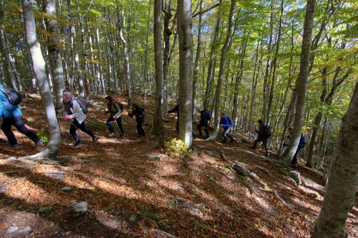 WhatsApp-Image-2021-10-18-at-194554-1