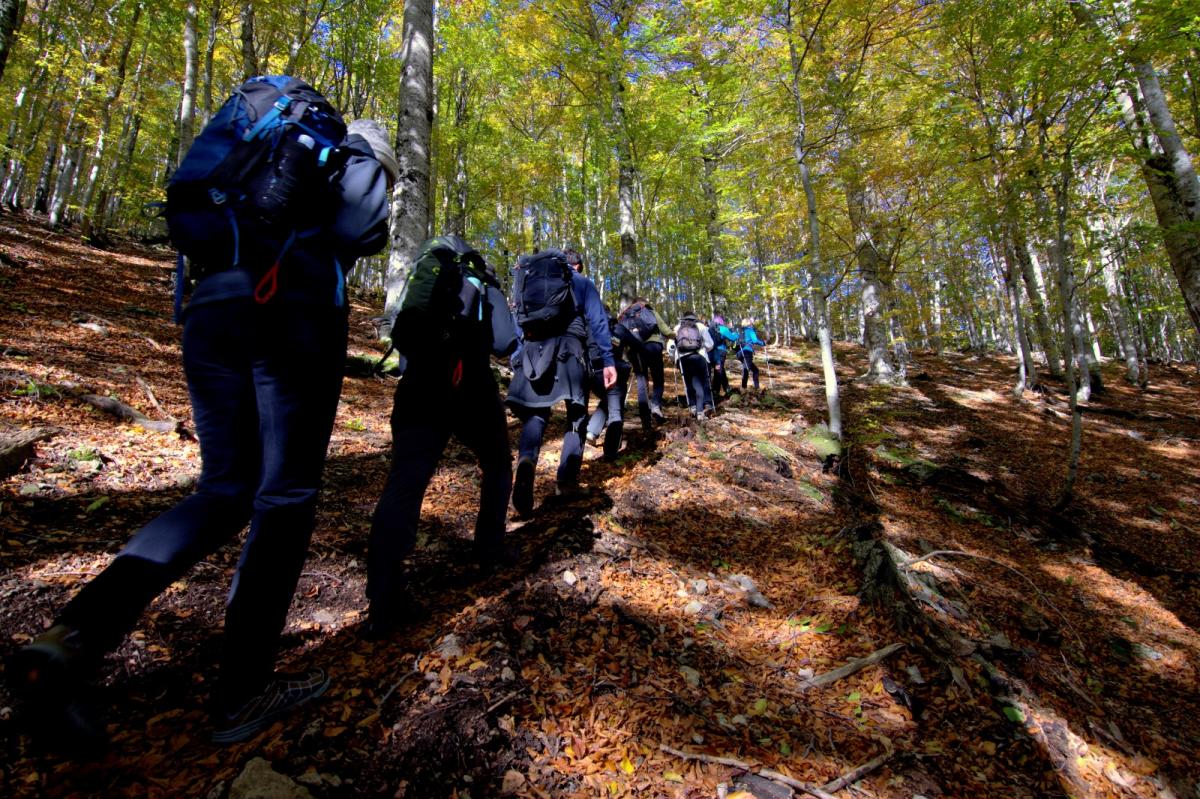 WhatsApp-Image-2021-10-18-at-194554-2