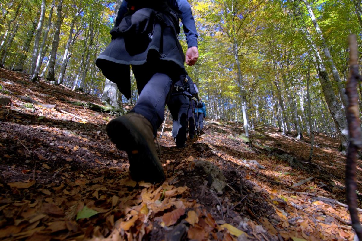 WhatsApp-Image-2021-10-18-at-194554-3