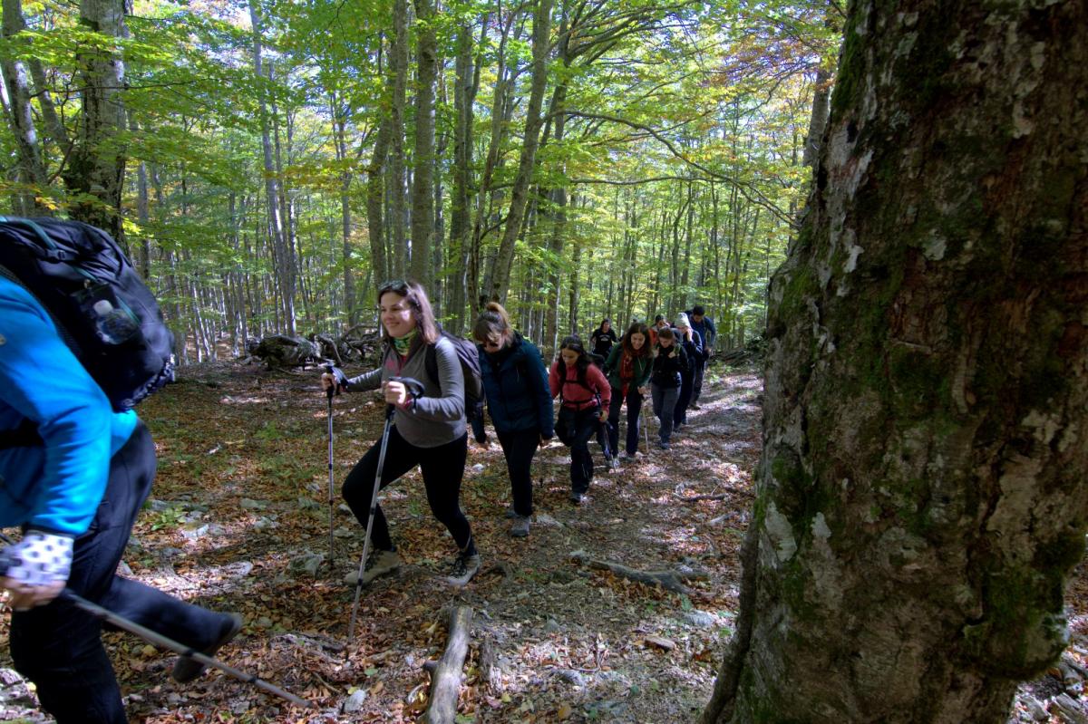 WhatsApp-Image-2021-10-18-at-194555-1