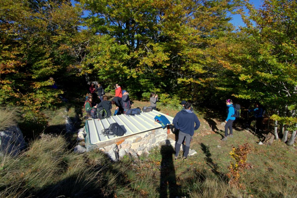 WhatsApp-Image-2021-10-18-at-194556