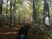 WhatsApp-Image-2021-10-17-at-181018-1