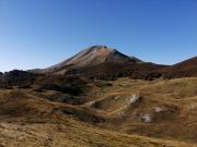 WhatsApp-Image-2021-10-17-at-181023-1