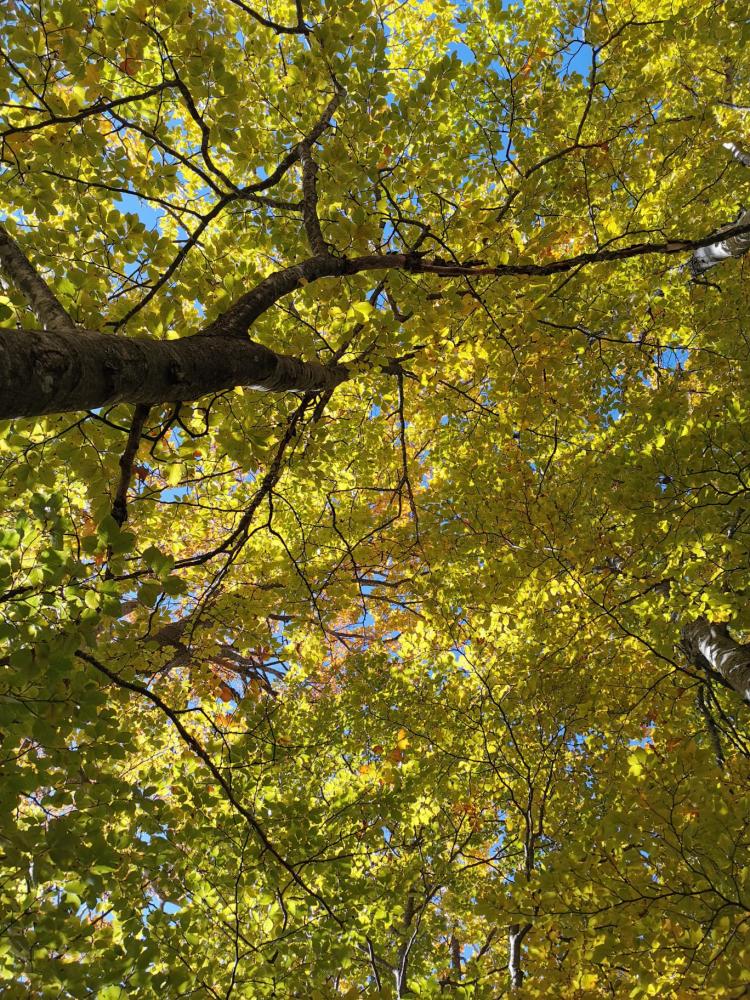 WhatsApp-Image-2021-10-24-at-185511