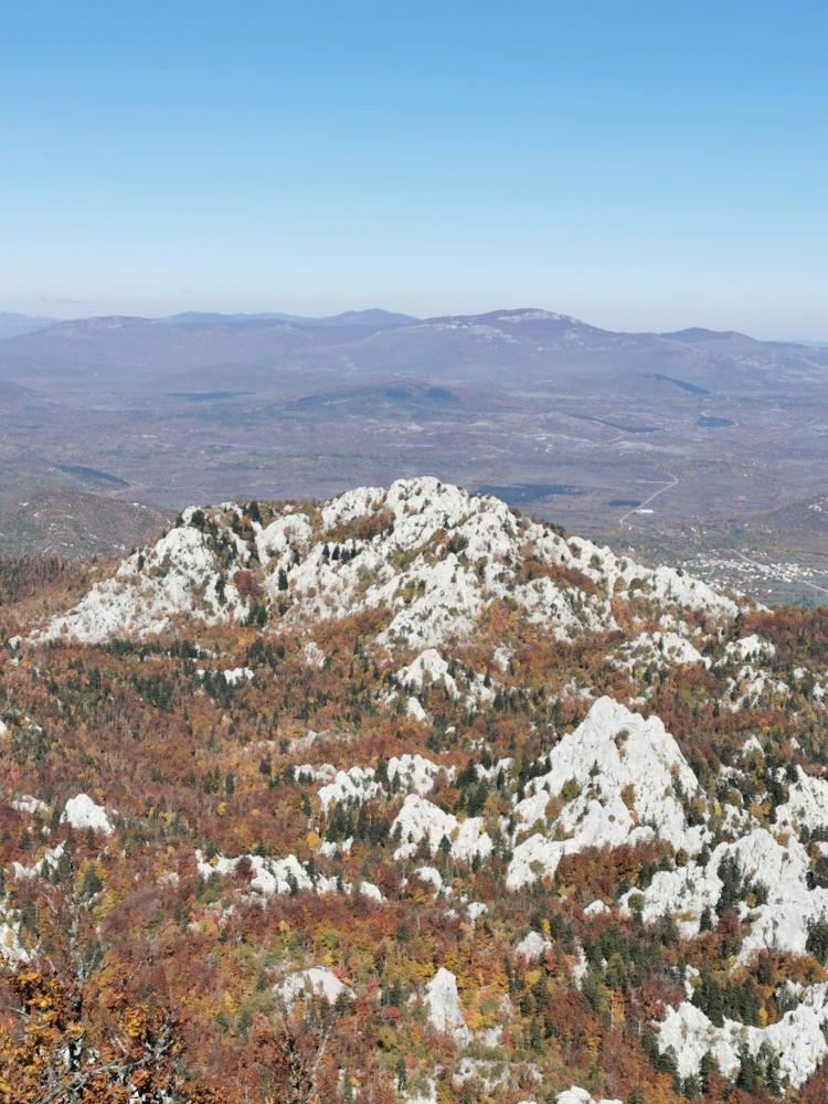 WhatsApp-Image-2021-10-24-at-185524-1