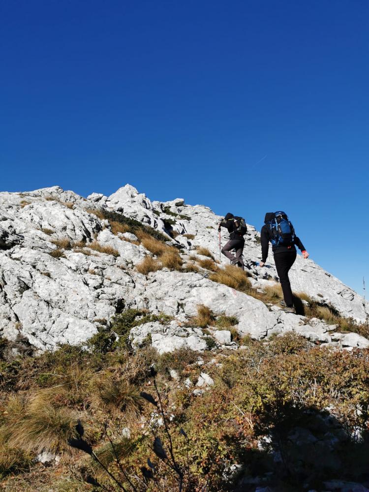 WhatsApp-Image-2021-10-24-at-185532-1