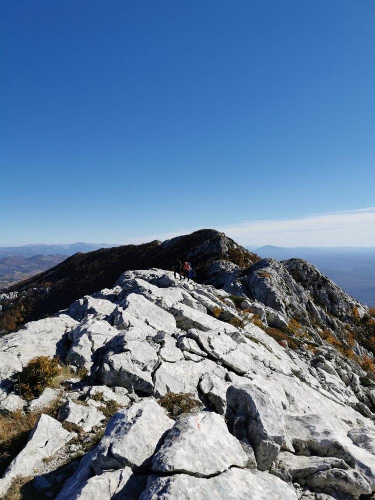 WhatsApp-Image-2021-10-24-at-185533