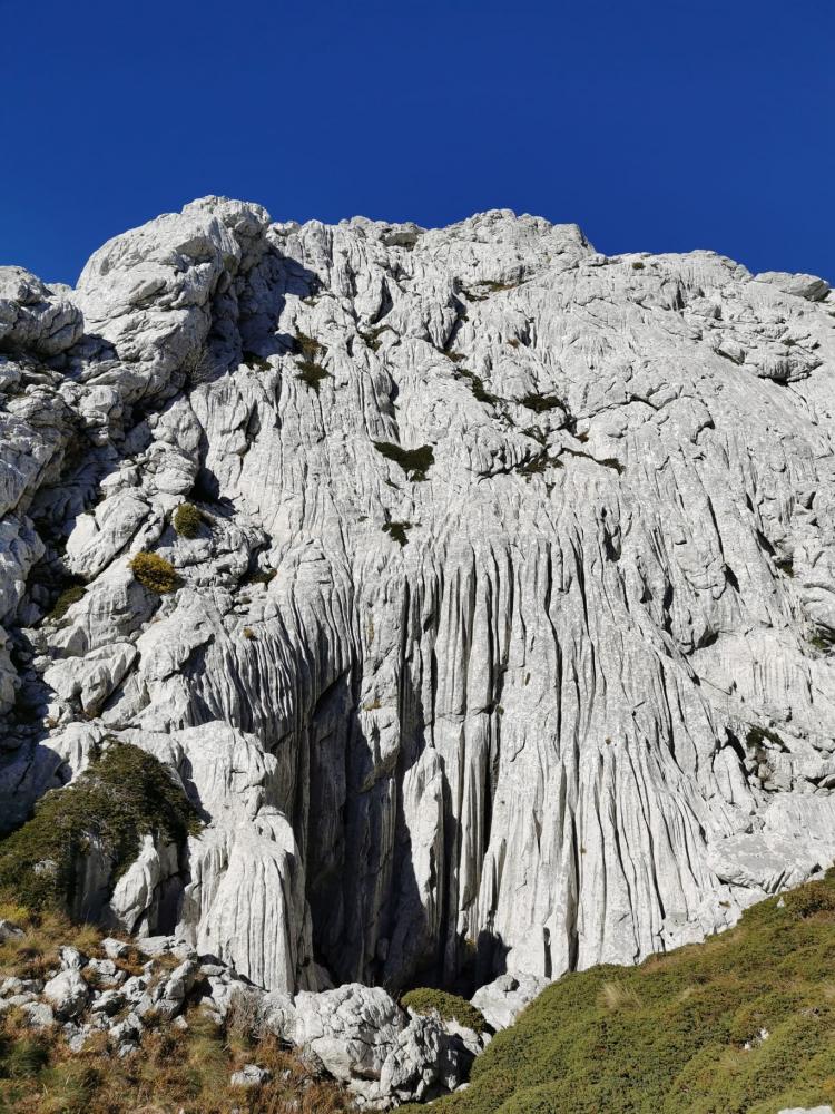 WhatsApp-Image-2021-10-24-at-185535