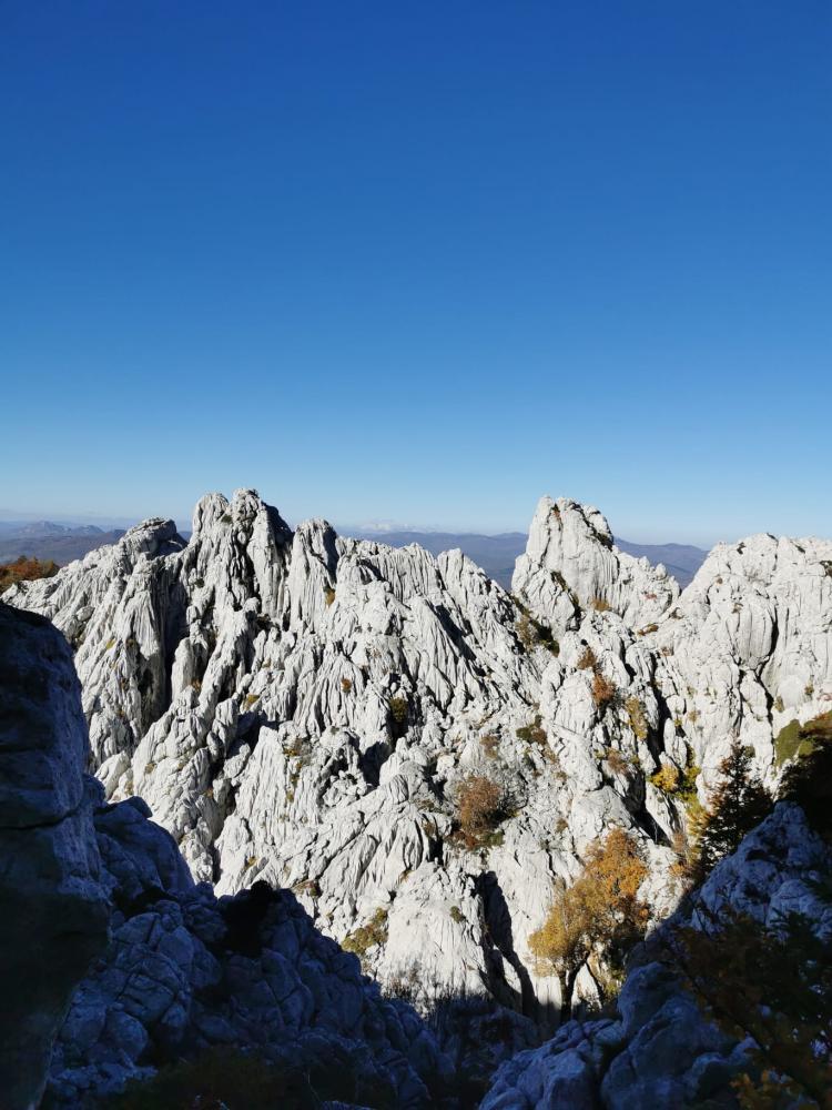 WhatsApp-Image-2021-10-24-at-185536-3