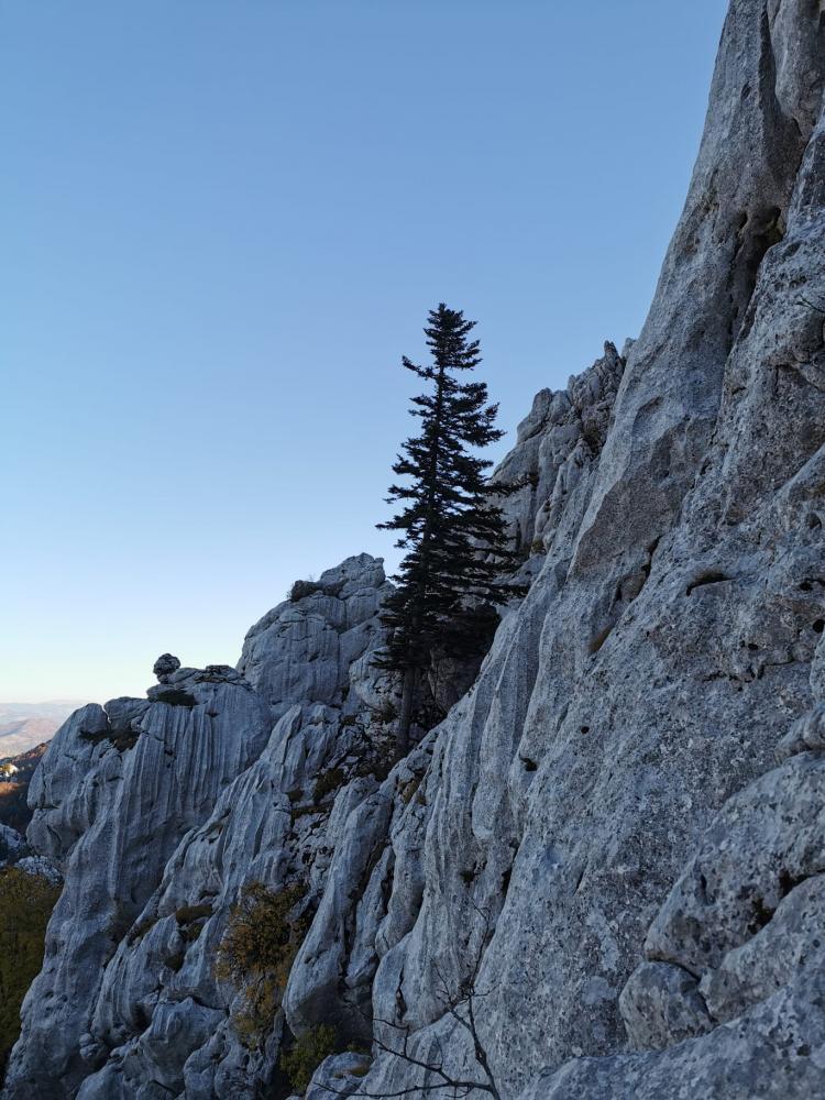 WhatsApp-Image-2021-10-24-at-185536