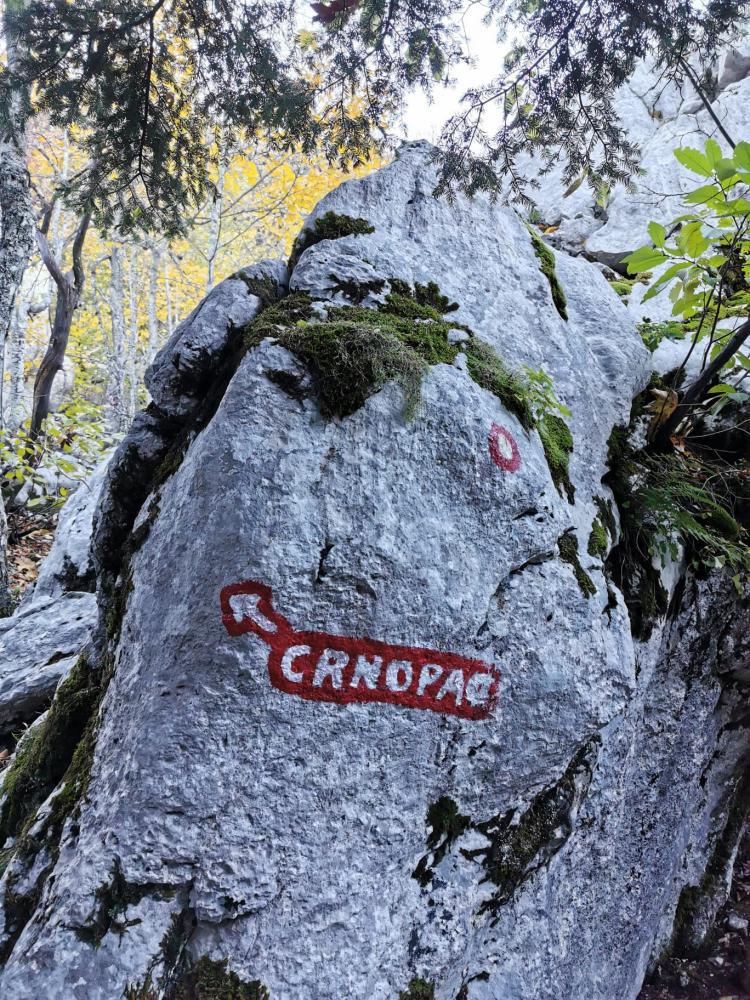 WhatsApp-Image-2021-10-24-at-185538-2