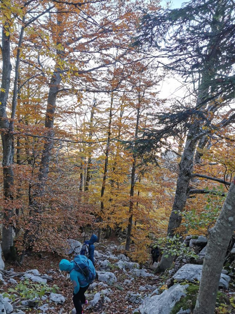 WhatsApp-Image-2021-10-24-at-185538