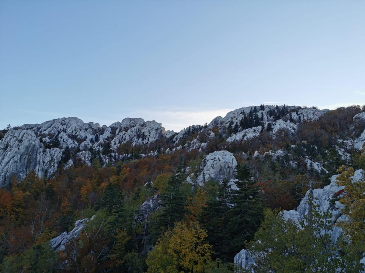 WhatsApp-Image-2021-10-24-at-185606-1